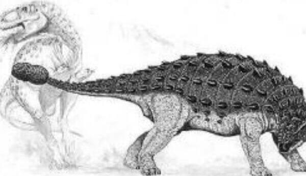 美甲龙：世界上最强食草恐龙（体长7米/可捶杀食肉恐龙）