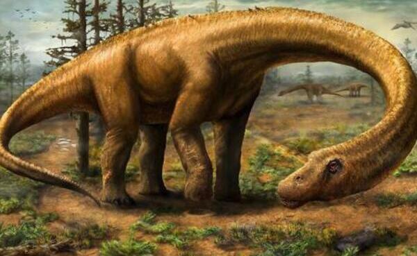食蜥王龙：北美洲巨型食肉恐龙（长14米/距今1.5亿年前）
