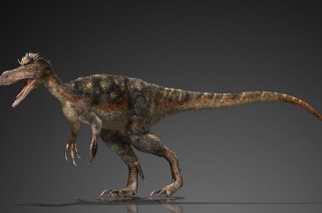 史托龙：北美洲小型食肉恐龙（长4米/距今1.45亿年前）