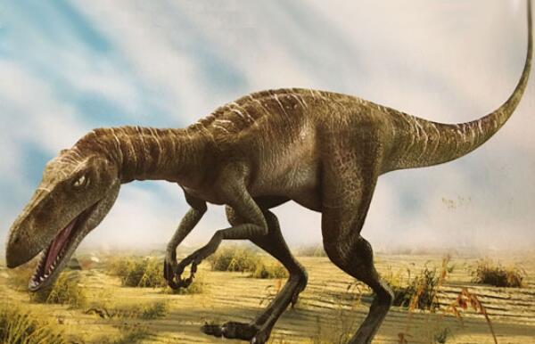 歇猎龙：南美洲大型食肉恐龙（长9.5米/距今9300万年前）