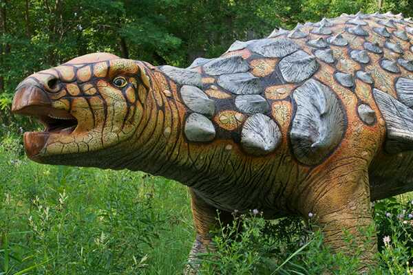 迷你型植食恐龙：棘齿龙 仅0.7米长(不如成年人高)