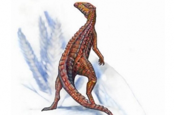 小盾龙：北美洲小型食草恐龙（长1.2米/距今1.95亿年前）
