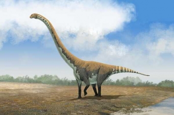 大型蜥脚形恐龙：盘足龙 前肢超长极罕见(足底像圆盘)