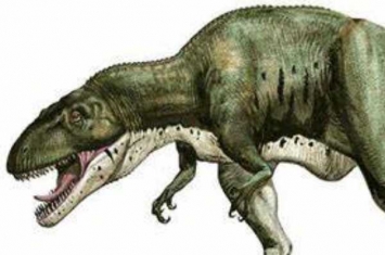 中型兽脚类恐龙：艾德玛龙 体长达11米(攻击力堪比暴龙)