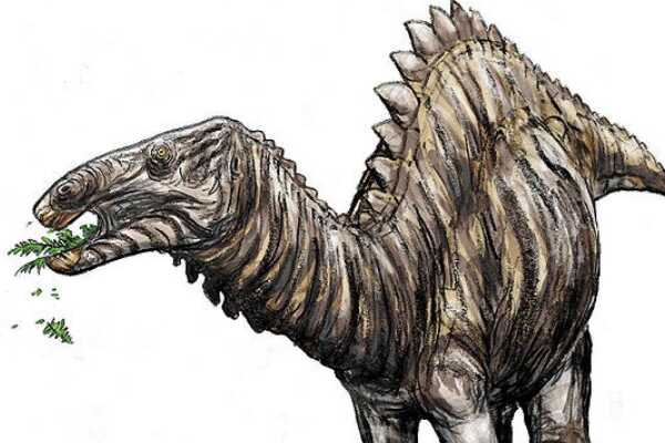最原始的鸟臀目恐龙：始奔龙 奔跑速度极快(身长仅1米)