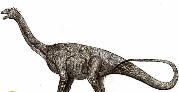 秦岭龙：中国大型食草恐龙（长20米/距今6500万年前）