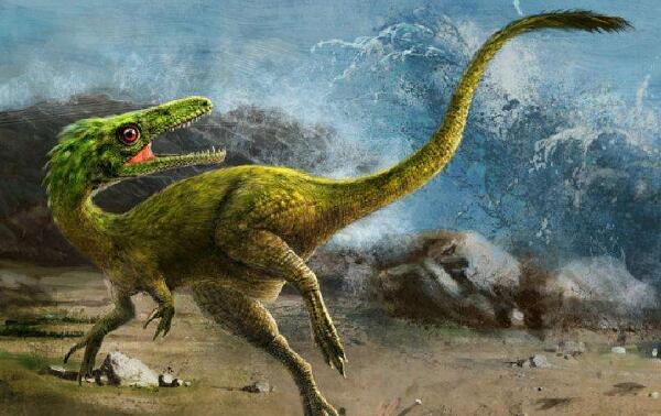 苏莱曼龙：亚洲超巨型恐龙（长25米/距今6500万年前）