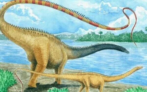 苏莱曼龙：亚洲超巨型恐龙（长25米/距今6500万年前）