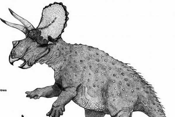 非洲植食恐龙：优肢龙 能像人类直立站立(长达9-12米)
