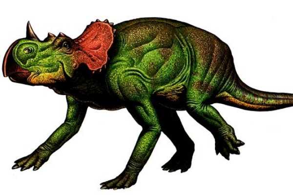 最早的食肉暴龙:始暴龙 拥有超长前肢(以中型恐龙为食)