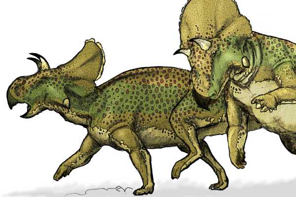 最早的食肉暴龙:始暴龙 拥有超长前肢(以中型恐龙为食)