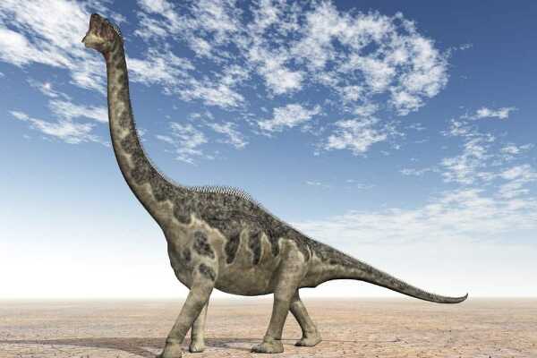 侏儒蜥脚恐龙:欧罗巴龙 长期在岛屿生活(体长仅1.7米)