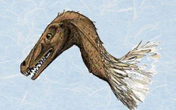 伤齿龙：恐龙中最聪明的存在（长2米/出土于北美洲）