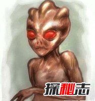 人类已知的50类外星人,各种外星人种类大揭秘(M78真的有)