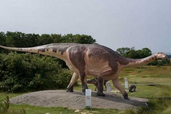 巨型蜥脚类恐龙:扶绥龙 光是髋骨长度就有145厘米