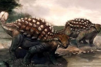 多智龙：蒙古国大型食草恐龙（长8.5米/距今6900万年前）