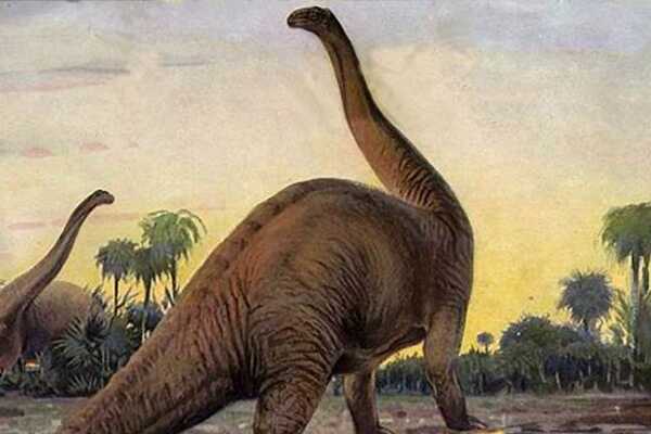 巨型泰坦恐龙：沉重龙 诞生于白垩纪/体长15-20米