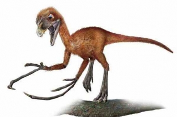 迷你型植食恐龙：树息龙 仅10厘米长(如麻雀大小)