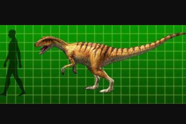 白垩纪恐龙:福井龙 体型是鸭嘴龙类最小(体长仅5米)