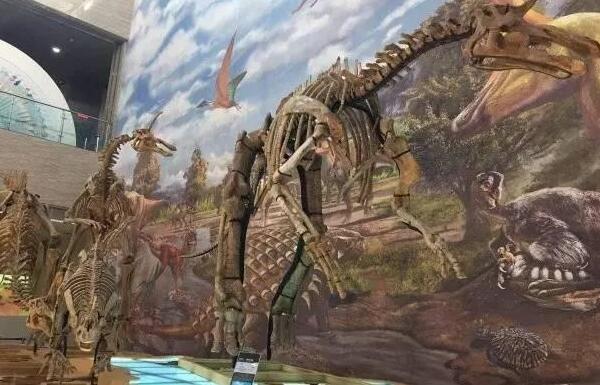 太阳神龙：北美洲小型食肉恐龙（长2米/距今2.15亿年前）