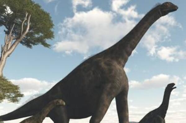 白山龙：蒙古国大型食草恐龙（长6.5米/距今9300万年前）