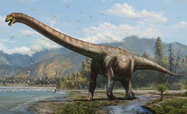 塔邹达龙：非洲大型食草恐龙（长9米/最古老蜥脚类恐龙）