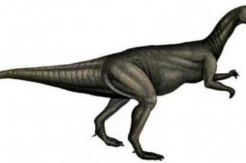 三尖齿龙：欧洲食草恐龙（化石只有一颗牙齿/1.5亿年前）