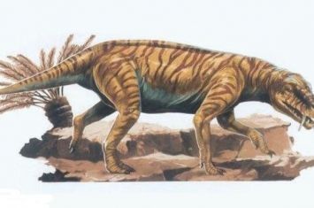 特狈路龙：欧洲小型食草恐龙（化石只有牙齿/体型未知）