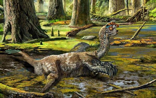 天宇盗龙：辽宁小型食肉恐龙（长2.1米/距今1.55亿年前）