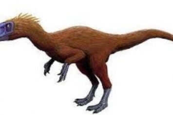 吐谷鲁龙：中国小型食肉恐龙（长3米/距今1.36亿年前）