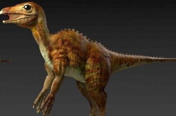 热河龙：辽宁小型杂食性恐龙（长0.8米/距今1.25亿年前）
