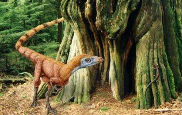 青岛龙：山东巨型食草恐龙（长10米/距今7000万年前）