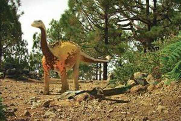 小型恐龙:加斯帕里尼龙 三个标本均发现胃石