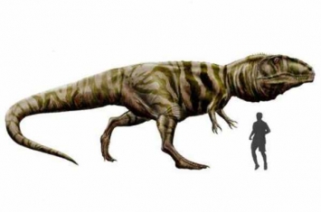 巨型食肉恐龙:南方巨兽龙 体长13.8米(仅次于霸王龙)