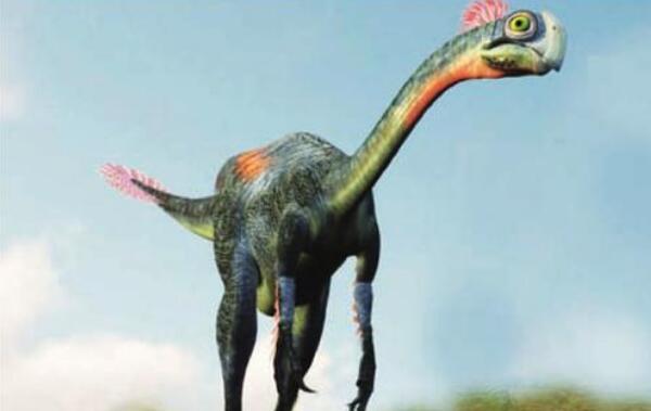 北票龙：体型第二大有羽毛恐龙（长2.2米/中国辽宁出土）