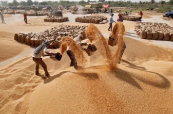 印度13亿人为何却不缺粮食呢,印度的人口与粮食