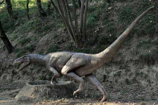 小型植食恐龙:工部龙 体长仅1.5米(非常适合奔跑)
