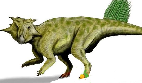 红山龙：辽宁小型食草恐龙（长2米/距今1.25亿年前）