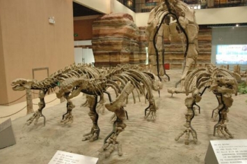 天镇龙：山东小型食草恐龙（长4米/距今9000万年前）