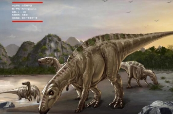南宁龙：广西巨型食草恐龙（长13米/距今1亿年前）