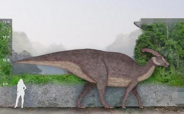 阿穆尔龙：黑龙江大型食草恐龙（长6米/距今6500万年前）