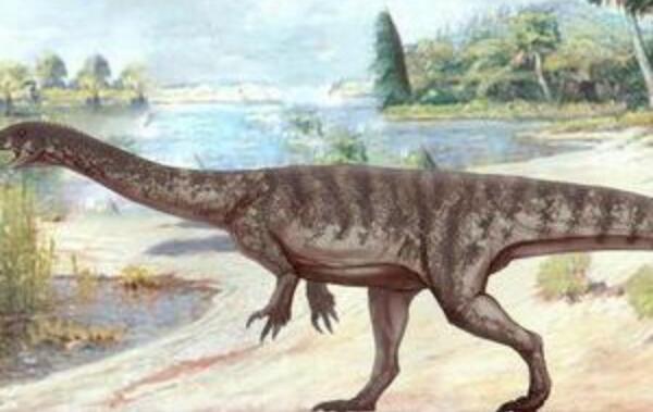金沙江龙：中国大型植食性恐龙（长11-13米/1.75亿年前）