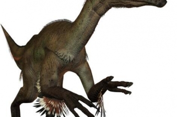 澳洲盗龙：最早的澳洲恐龙（长3米/距今1.68亿年前）