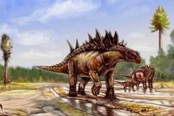 满洲龙：中国发现的第一具恐龙化石（长8米/黑龙江出土）