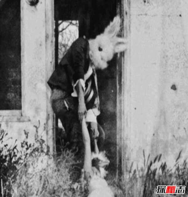 美国兔人杀人是真的吗?美国恐怖兔人图片曝光（都市传说）