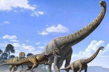 川街龙：云南最大的食草恐龙（长17米/距今1.61亿年前）