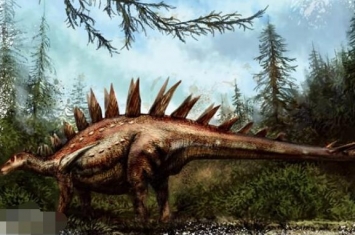 将军龙：新疆最厉害的食草恐龙（长9米/距今1.55亿年前）