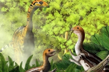 泥潭龙：新疆小型食草恐龙（长1.7米/距今1.55亿年前）