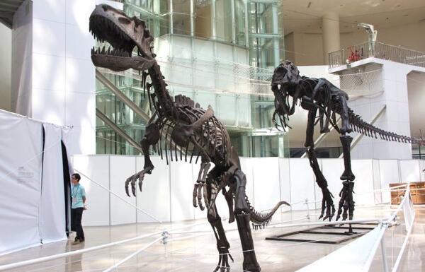 嘉陵龙：四川小型食草恐龙（长4米/距今1.5亿年前）