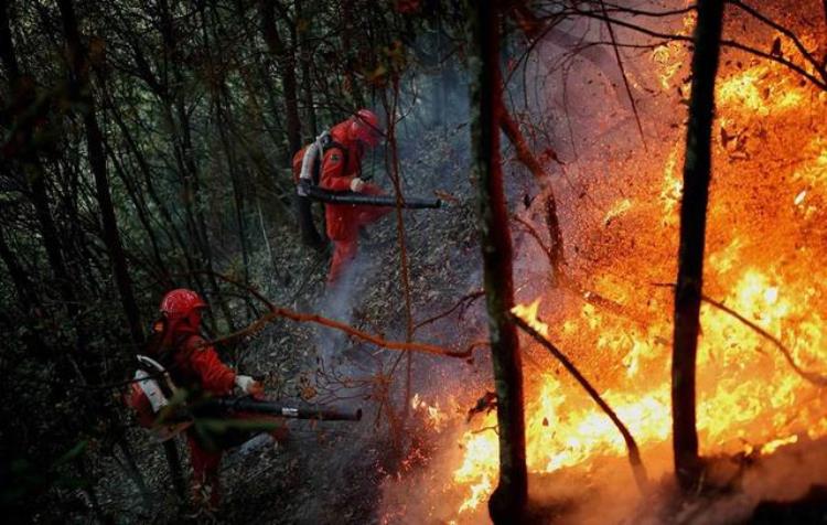 凉山火灾消防员是什么原因导致他们死亡,四川凉山30名消防为救火而牺牲
